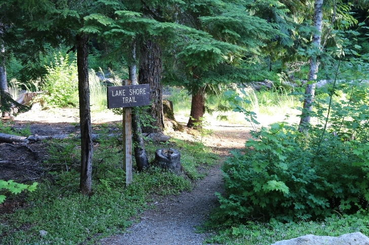 Camping in Washingtons Kachess Campground.